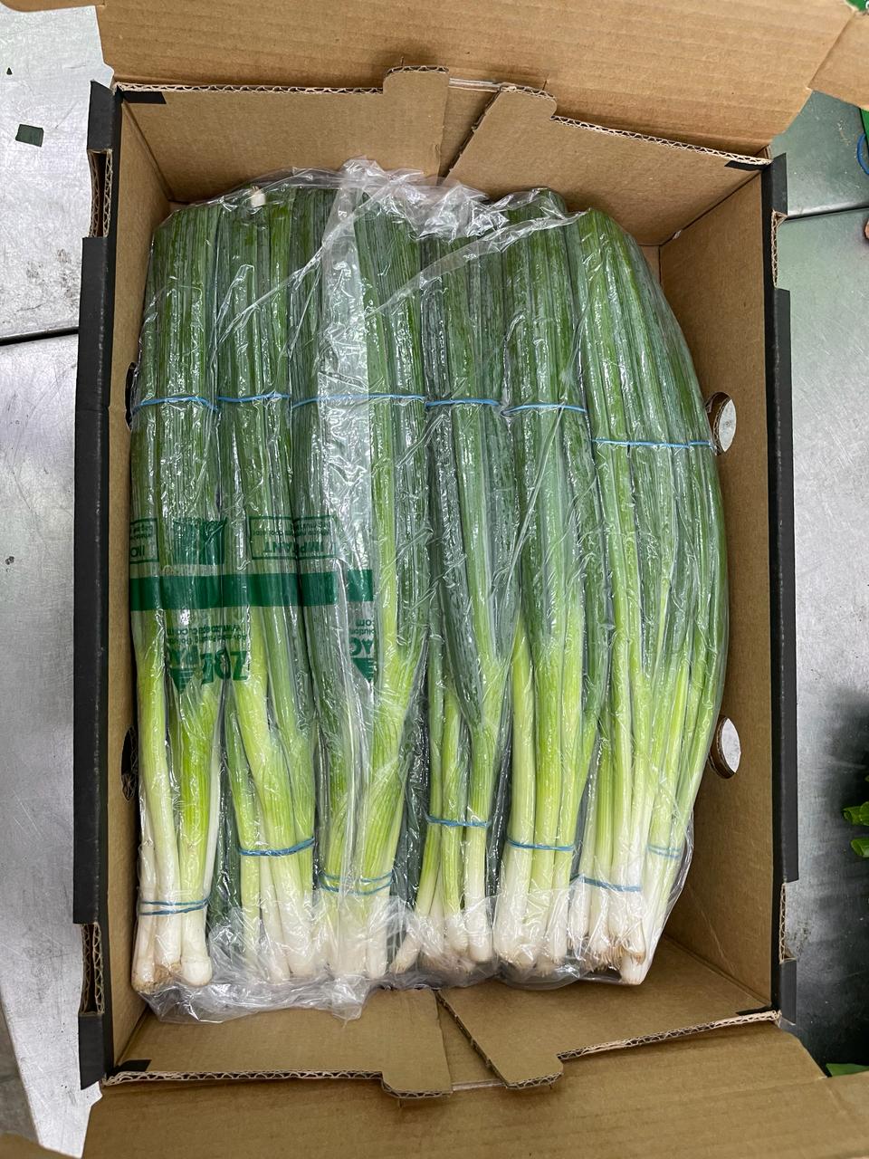 Spring Onions